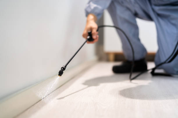 Licensed Pest Control service in Iowa City, IA - Show Me Pest Control