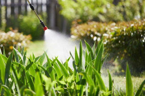 Tamper-Resistant Bait Stations for Rodents in Iowa City