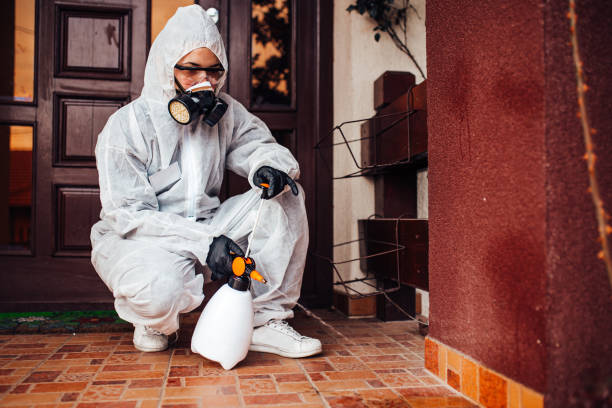 Attic and Crawl Space Rodent Treatment in Iowa City