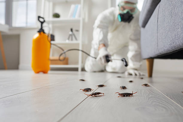 Commercial Rodent Management in Iowa City